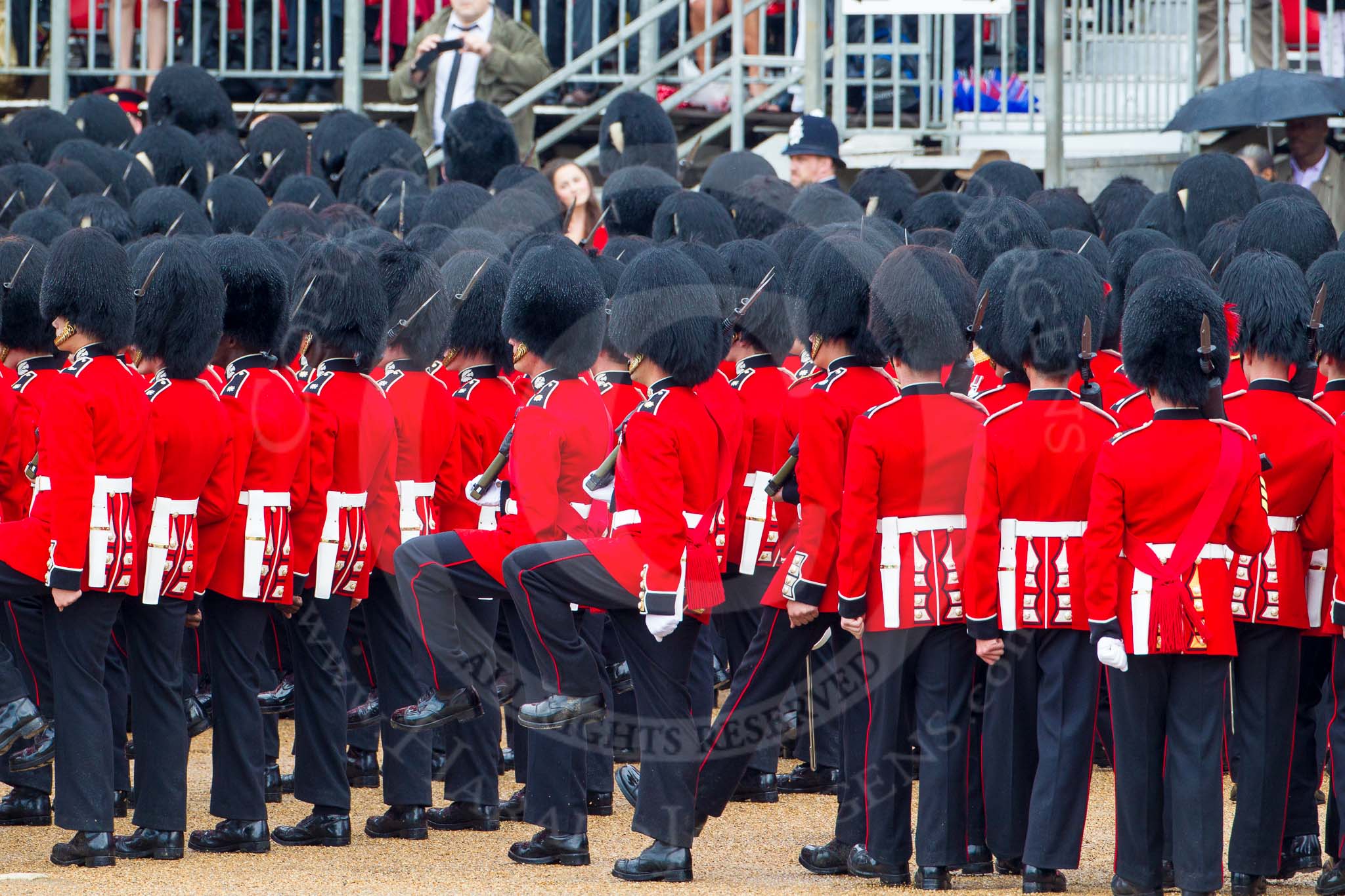 The Colonel's Review 2014.
Horse Guards Parade, Westminster,
London,

United Kingdom,
on 07 June 2014 at 11:39, image #536