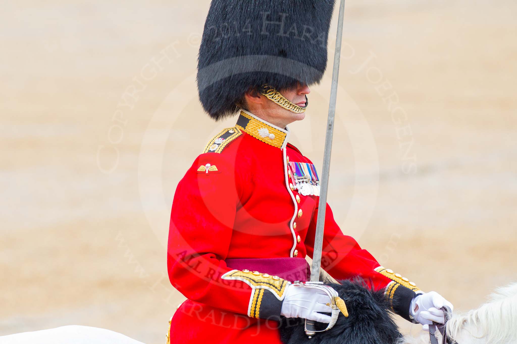 The Colonel's Review 2014.
Horse Guards Parade, Westminster,
London,

United Kingdom,
on 07 June 2014 at 11:43, image #547