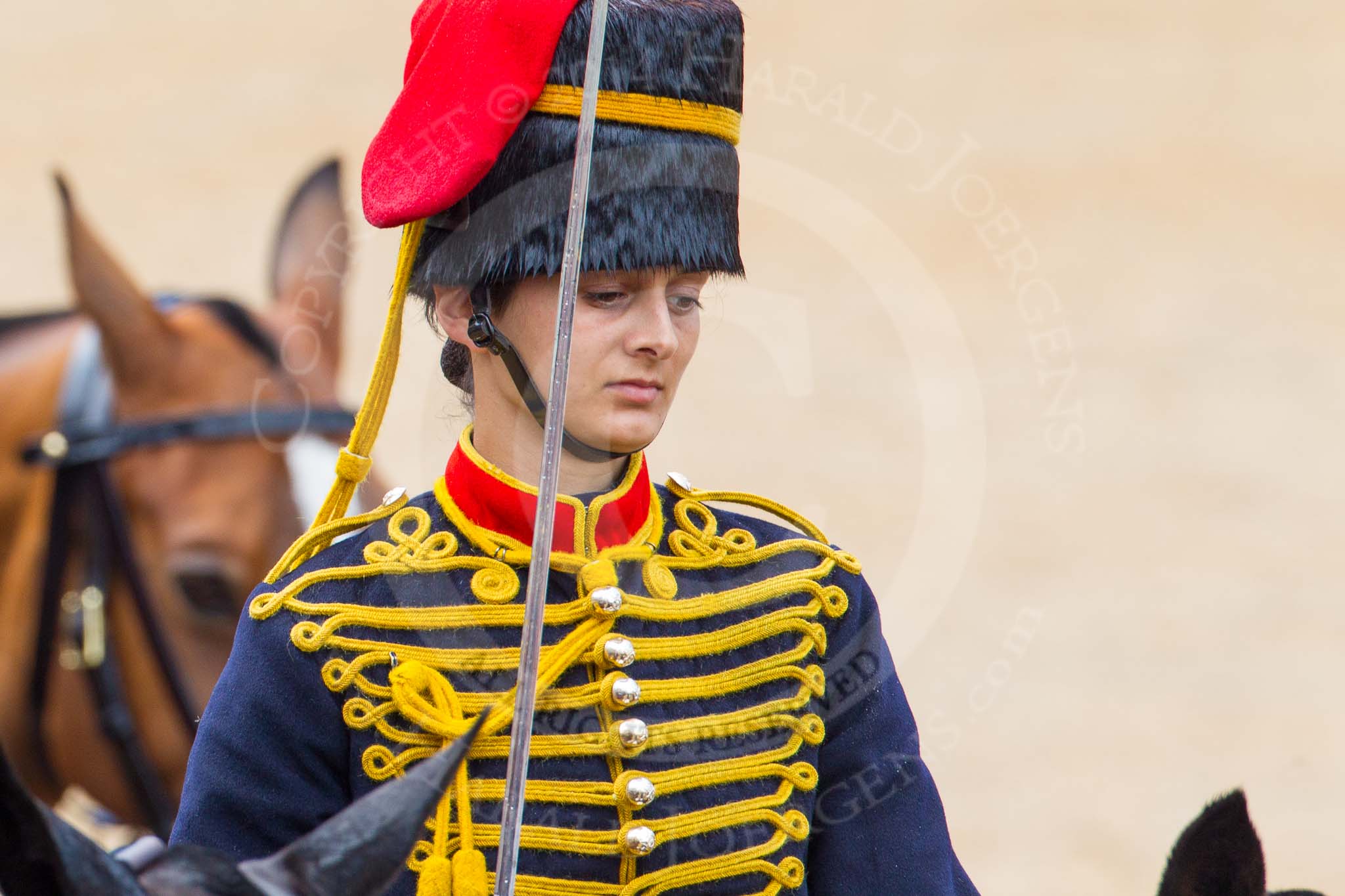 The Colonel's Review 2014.
Horse Guards Parade, Westminster,
London,

United Kingdom,
on 07 June 2014 at 11:53, image #617