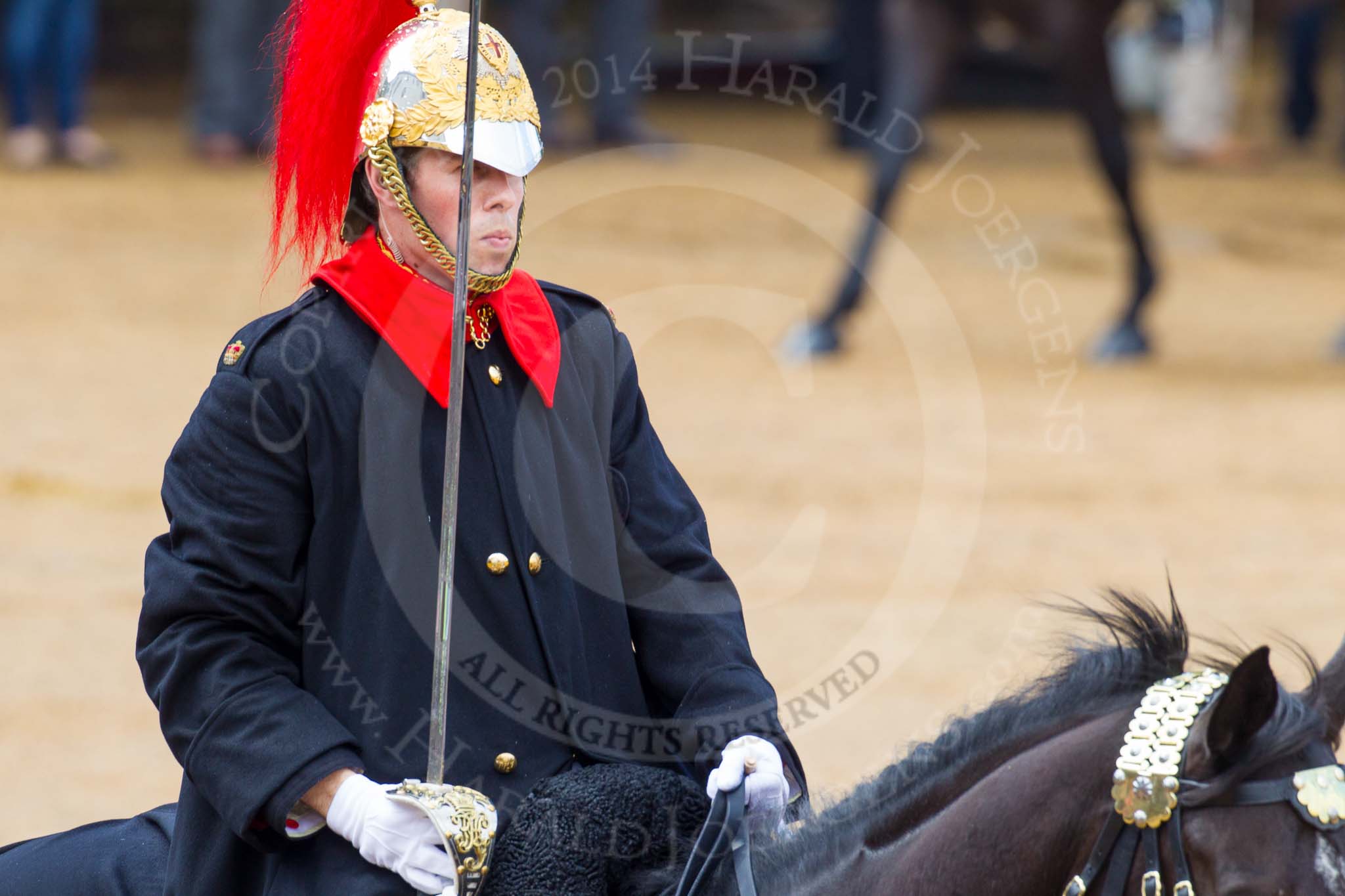 The Colonel's Review 2014.
Horse Guards Parade, Westminster,
London,

United Kingdom,
on 07 June 2014 at 11:54, image #621