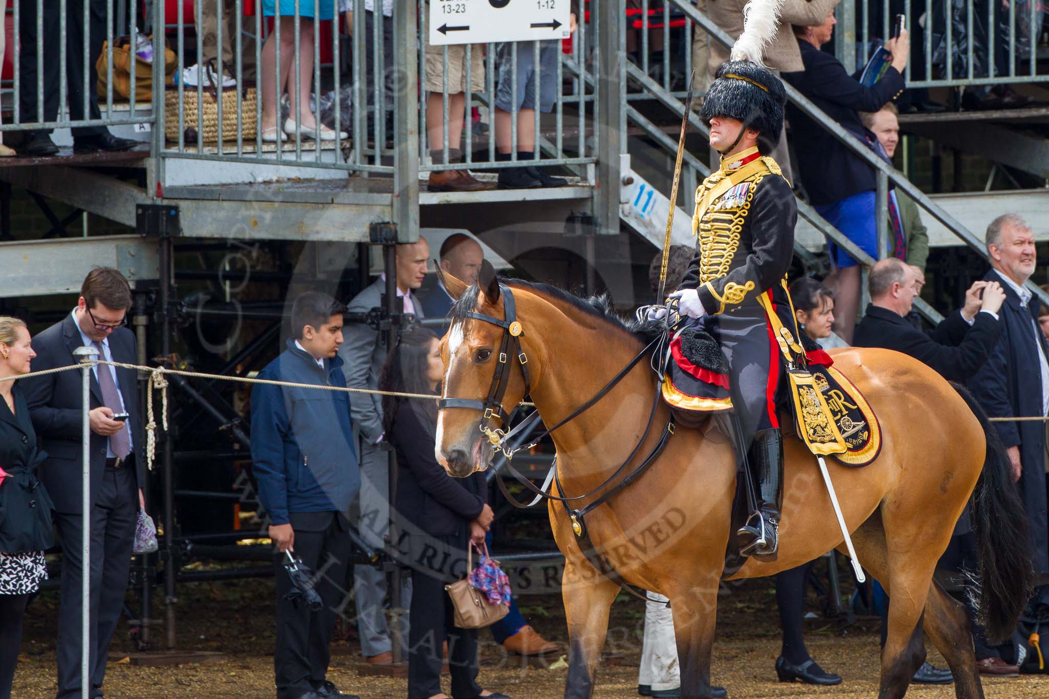 The Colonel's Review 2014.
Horse Guards Parade, Westminster,
London,

United Kingdom,
on 07 June 2014 at 11:56, image #648