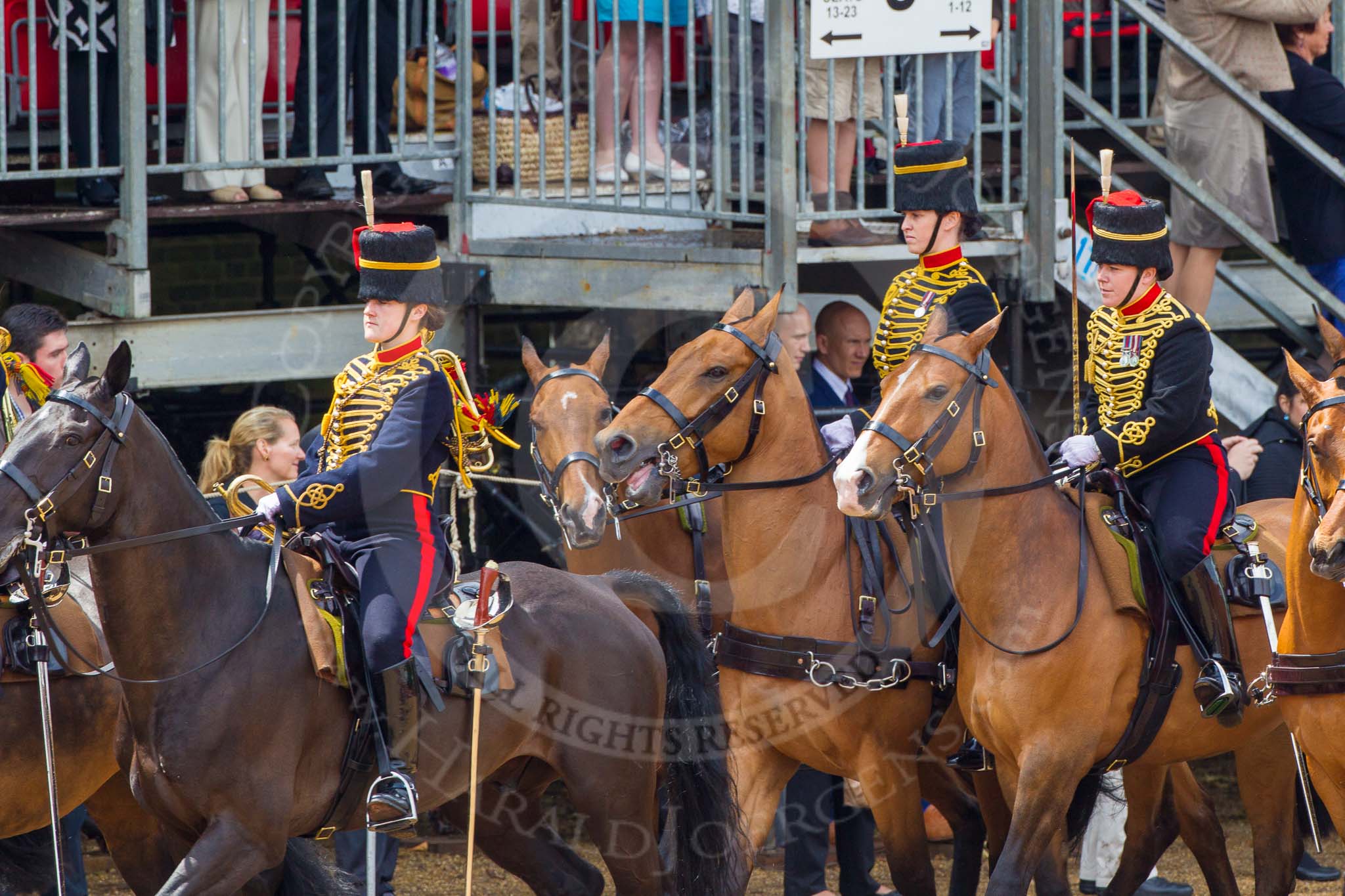 The Colonel's Review 2014.
Horse Guards Parade, Westminster,
London,

United Kingdom,
on 07 June 2014 at 11:57, image #652