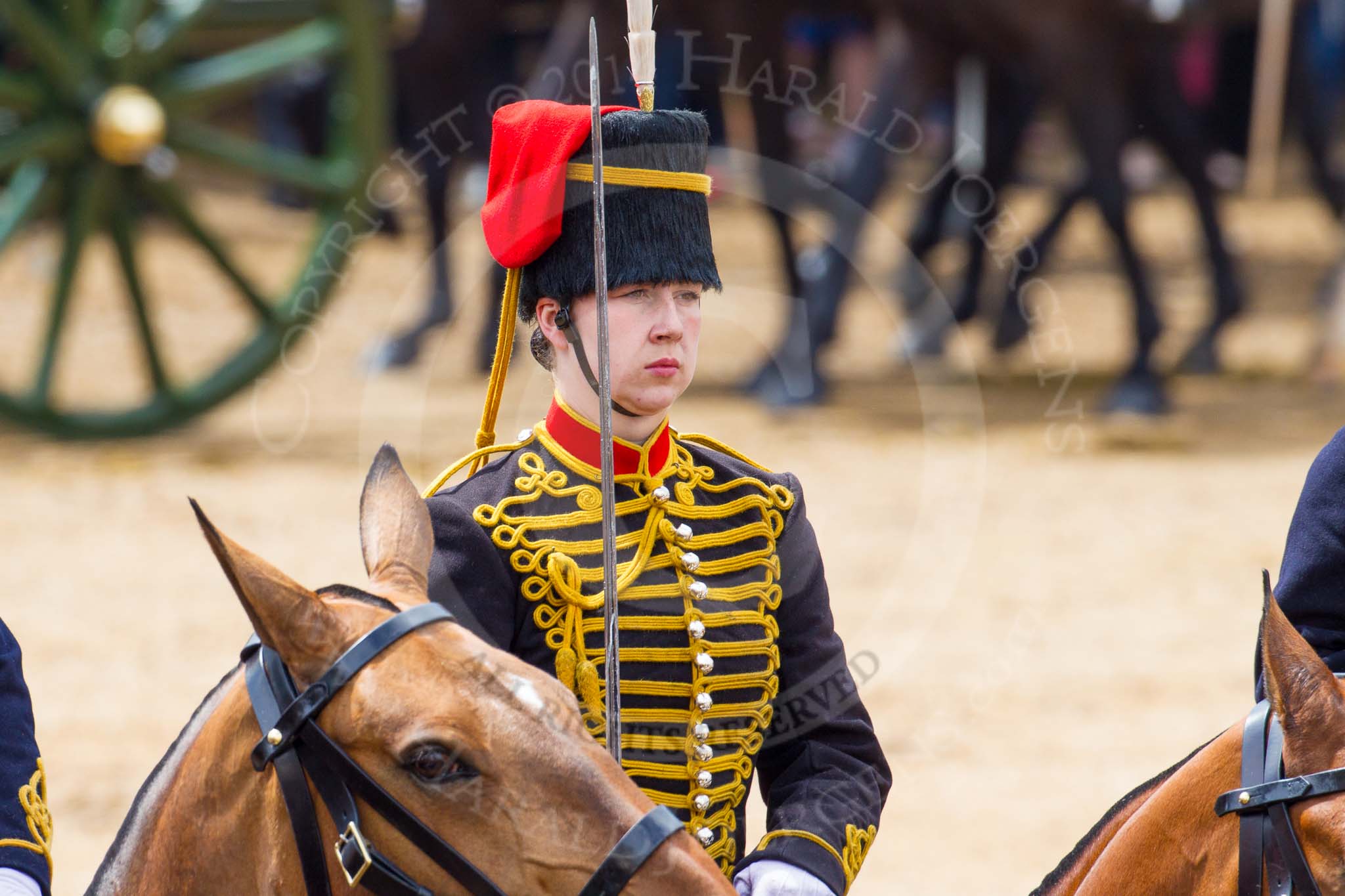 The Colonel's Review 2014.
Horse Guards Parade, Westminster,
London,

United Kingdom,
on 07 June 2014 at 11:57, image #662