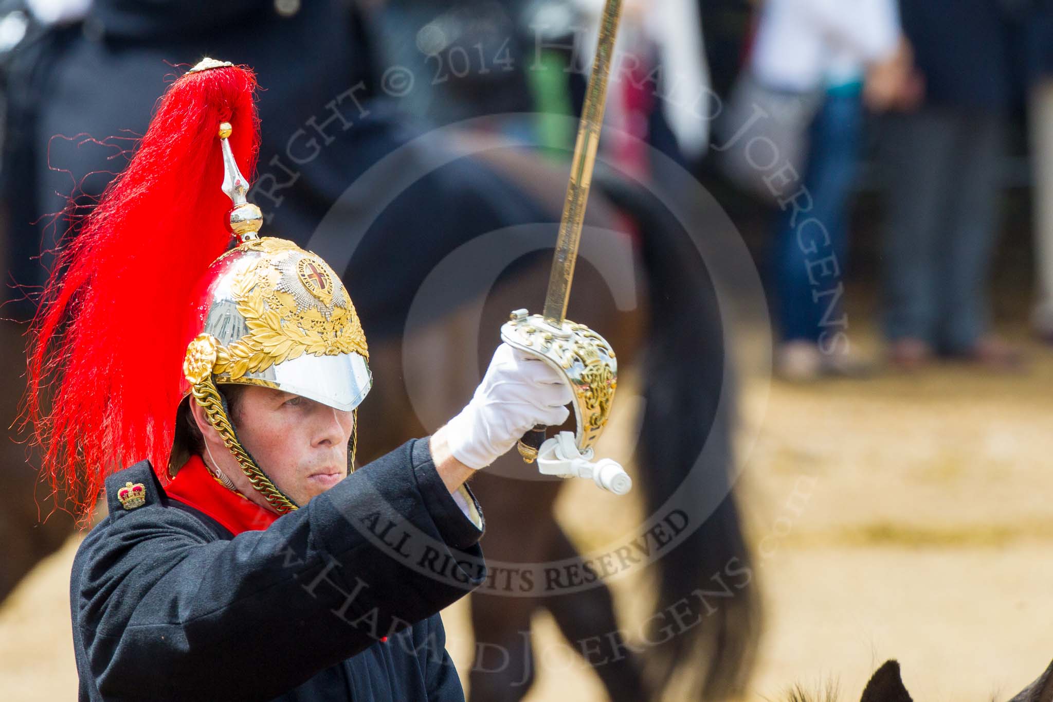 The Colonel's Review 2014.
Horse Guards Parade, Westminster,
London,

United Kingdom,
on 07 June 2014 at 11:58, image #673