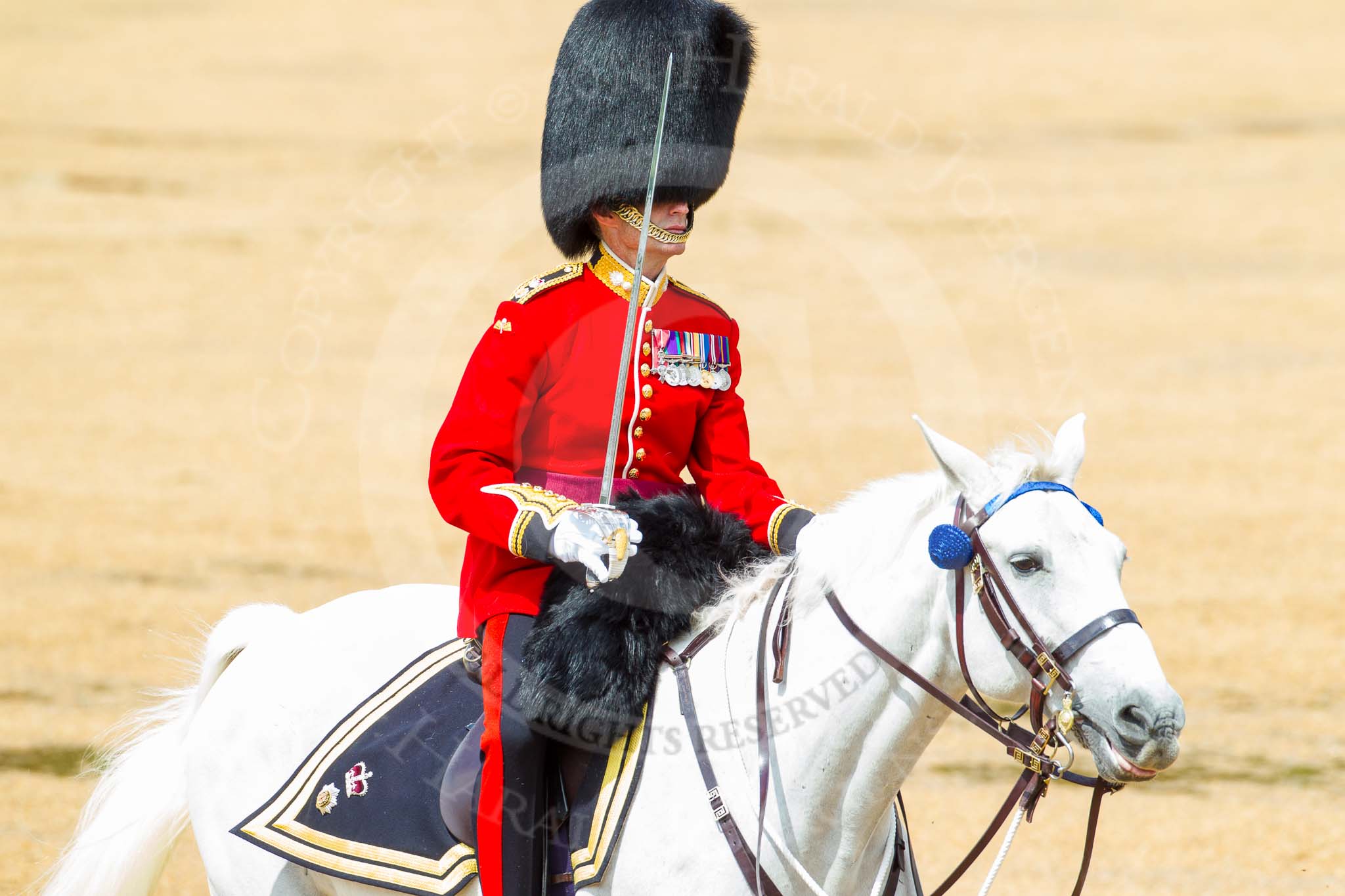 The Colonel's Review 2014.
Horse Guards Parade, Westminster,
London,

United Kingdom,
on 07 June 2014 at 12:06, image #704