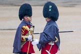 The Colonel's Review 2014.
Horse Guards Parade, Westminster,
London,

United Kingdom,
on 07 June 2014 at 10:09, image #65