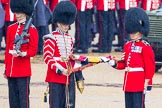 The Colonel's Review 2014.
Horse Guards Parade, Westminster,
London,

United Kingdom,
on 07 June 2014 at 10:28, image #127