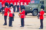 The Colonel's Review 2014.
Horse Guards Parade, Westminster,
London,

United Kingdom,
on 07 June 2014 at 10:28, image #132