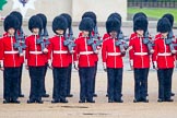 The Colonel's Review 2014.
Horse Guards Parade, Westminster,
London,

United Kingdom,
on 07 June 2014 at 10:37, image #155
