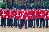 The Colonel's Review 2014.
Horse Guards Parade, Westminster,
London,

United Kingdom,
on 07 June 2014 at 10:40, image #166