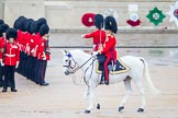 The Colonel's Review 2014.
Horse Guards Parade, Westminster,
London,

United Kingdom,
on 07 June 2014 at 10:41, image #170