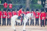 The Colonel's Review 2014.
Horse Guards Parade, Westminster,
London,

United Kingdom,
on 07 June 2014 at 10:44, image #179