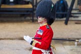 The Colonel's Review 2014.
Horse Guards Parade, Westminster,
London,

United Kingdom,
on 07 June 2014 at 10:57, image #245