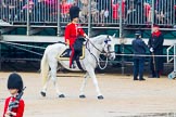 The Colonel's Review 2014.
Horse Guards Parade, Westminster,
London,

United Kingdom,
on 07 June 2014 at 10:58, image #248