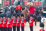 The Colonel's Review 2014.
Horse Guards Parade, Westminster,
London,

United Kingdom,
on 07 June 2014 at 10:58, image #249