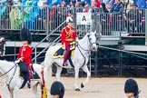 The Colonel's Review 2014.
Horse Guards Parade, Westminster,
London,

United Kingdom,
on 07 June 2014 at 10:58, image #254