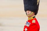 The Colonel's Review 2014.
Horse Guards Parade, Westminster,
London,

United Kingdom,
on 07 June 2014 at 11:00, image #271