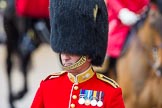 The Colonel's Review 2014.
Horse Guards Parade, Westminster,
London,

United Kingdom,
on 07 June 2014 at 11:01, image #282