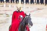 The Colonel's Review 2014.
Horse Guards Parade, Westminster,
London,

United Kingdom,
on 07 June 2014 at 11:05, image #301