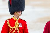 The Colonel's Review 2014.
Horse Guards Parade, Westminster,
London,

United Kingdom,
on 07 June 2014 at 11:06, image #310