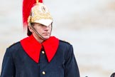 The Colonel's Review 2014.
Horse Guards Parade, Westminster,
London,

United Kingdom,
on 07 June 2014 at 11:06, image #313
