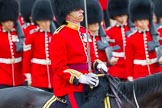 The Colonel's Review 2014.
Horse Guards Parade, Westminster,
London,

United Kingdom,
on 07 June 2014 at 11:33, image #481