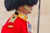 The Colonel's Review 2014.
Horse Guards Parade, Westminster,
London,

United Kingdom,
on 07 June 2014 at 11:34, image #492