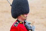 The Colonel's Review 2014.
Horse Guards Parade, Westminster,
London,

United Kingdom,
on 07 June 2014 at 11:35, image #500
