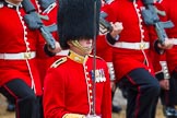 The Colonel's Review 2014.
Horse Guards Parade, Westminster,
London,

United Kingdom,
on 07 June 2014 at 11:35, image #501