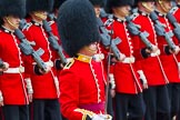 The Colonel's Review 2014.
Horse Guards Parade, Westminster,
London,

United Kingdom,
on 07 June 2014 at 11:35, image #502