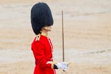 The Colonel's Review 2014.
Horse Guards Parade, Westminster,
London,

United Kingdom,
on 07 June 2014 at 11:35, image #503