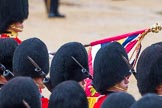 The Colonel's Review 2014.
Horse Guards Parade, Westminster,
London,

United Kingdom,
on 07 June 2014 at 11:35, image #504