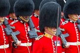 The Colonel's Review 2014.
Horse Guards Parade, Westminster,
London,

United Kingdom,
on 07 June 2014 at 11:35, image #509
