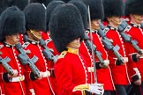 The Colonel's Review 2014.
Horse Guards Parade, Westminster,
London,

United Kingdom,
on 07 June 2014 at 11:35, image #510