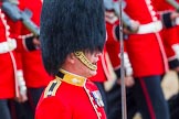 The Colonel's Review 2014.
Horse Guards Parade, Westminster,
London,

United Kingdom,
on 07 June 2014 at 11:36, image #512