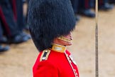The Colonel's Review 2014.
Horse Guards Parade, Westminster,
London,

United Kingdom,
on 07 June 2014 at 11:36, image #519