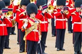 The Colonel's Review 2014.
Horse Guards Parade, Westminster,
London,

United Kingdom,
on 07 June 2014 at 11:38, image #527