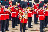 The Colonel's Review 2014.
Horse Guards Parade, Westminster,
London,

United Kingdom,
on 07 June 2014 at 11:38, image #529