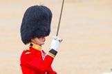 The Colonel's Review 2014.
Horse Guards Parade, Westminster,
London,

United Kingdom,
on 07 June 2014 at 11:38, image #533