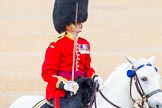 The Colonel's Review 2014.
Horse Guards Parade, Westminster,
London,

United Kingdom,
on 07 June 2014 at 11:38, image #534