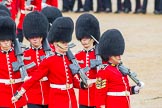 The Colonel's Review 2014.
Horse Guards Parade, Westminster,
London,

United Kingdom,
on 07 June 2014 at 11:43, image #543