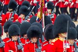 The Colonel's Review 2014.
Horse Guards Parade, Westminster,
London,

United Kingdom,
on 07 June 2014 at 11:43, image #545