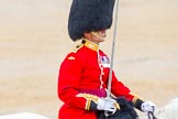 The Colonel's Review 2014.
Horse Guards Parade, Westminster,
London,

United Kingdom,
on 07 June 2014 at 11:43, image #547