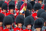 The Colonel's Review 2014.
Horse Guards Parade, Westminster,
London,

United Kingdom,
on 07 June 2014 at 11:43, image #550