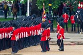 The Colonel's Review 2014.
Horse Guards Parade, Westminster,
London,

United Kingdom,
on 07 June 2014 at 11:48, image #567