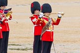 The Colonel's Review 2014.
Horse Guards Parade, Westminster,
London,

United Kingdom,
on 07 June 2014 at 11:49, image #572