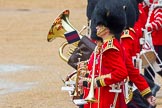 The Colonel's Review 2014.
Horse Guards Parade, Westminster,
London,

United Kingdom,
on 07 June 2014 at 11:50, image #579