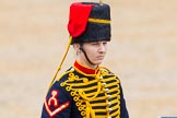 The Colonel's Review 2014.
Horse Guards Parade, Westminster,
London,

United Kingdom,
on 07 June 2014 at 11:53, image #616