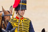 The Colonel's Review 2014.
Horse Guards Parade, Westminster,
London,

United Kingdom,
on 07 June 2014 at 11:53, image #617