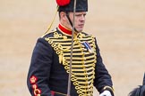 The Colonel's Review 2014.
Horse Guards Parade, Westminster,
London,

United Kingdom,
on 07 June 2014 at 11:54, image #618